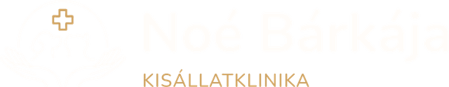 Noé Bárkája logo