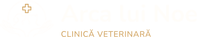 Arca lui Noe logo