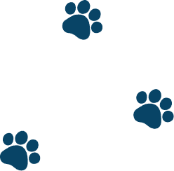 Pet Paw